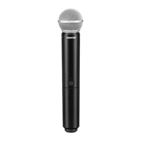 Shure BLX24/PG58