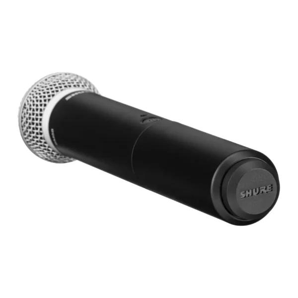 Shure BLX24/PG58