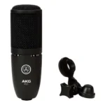 AKG P120