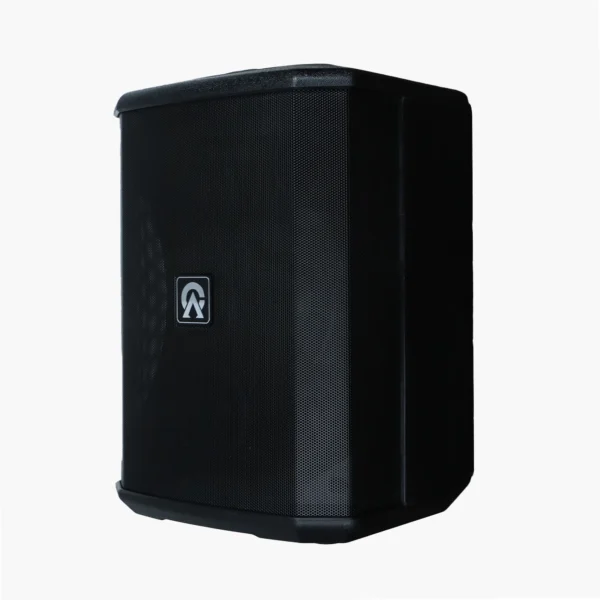 Custom Audio System M4