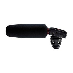 TASCAM DR 10SG