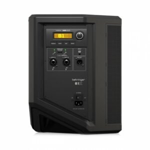 Behringer B1X