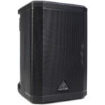Behringer B1X