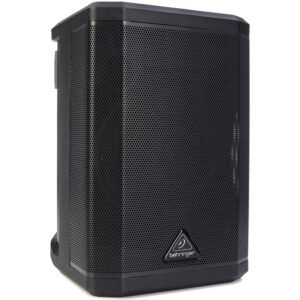 Behringer B1X