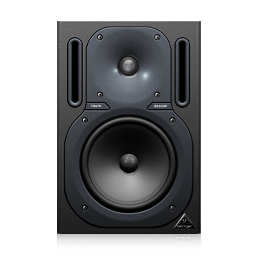 Behringer B2030P